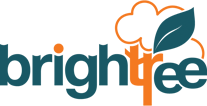 Brightree logo